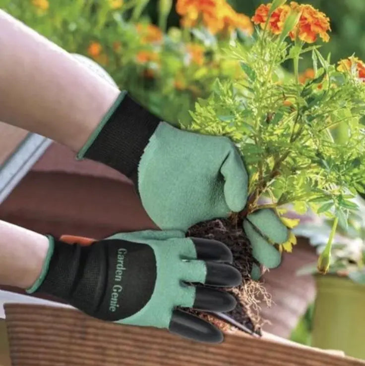 Patio-Lawn-and-Garden INFLUX
