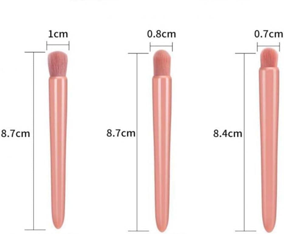 5-Piece Pink Makeup Brush Set with Compact Mirror – Essential Makeup Brushes Kit with Blush, Highlighter, and Concealer Brushes – Travel-Friendly Beauty Tool Set in Box with Mirror Visit the INFLUX Store